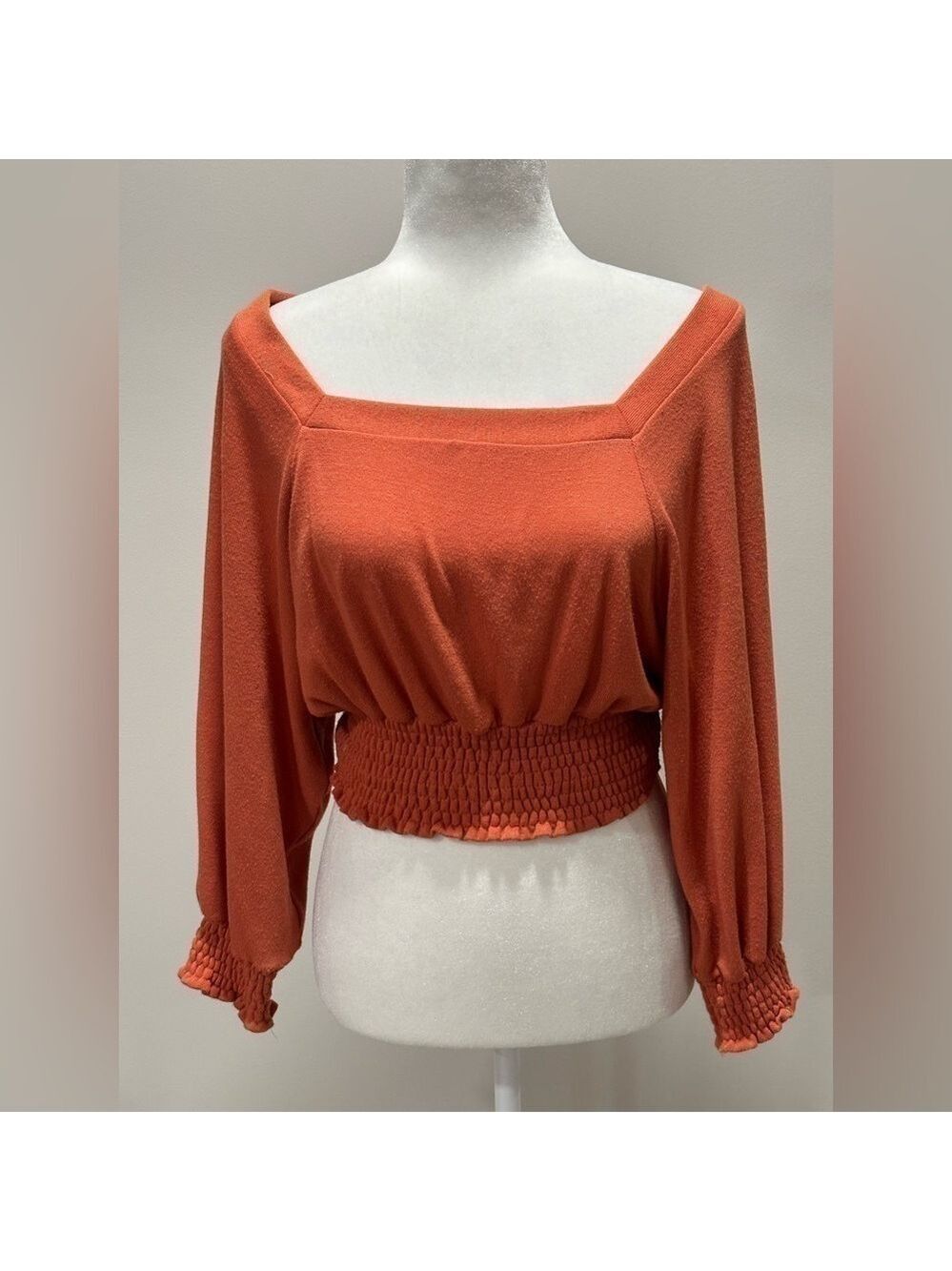 Free People Women’s Smocked Balloon Sleeve Burnt Orange Crop Blouse Size XS